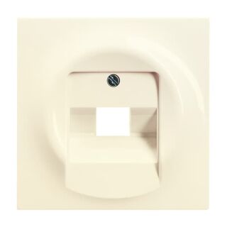 Busch-Jaeger Zentralscheibe Busch-Jaeger - Busch-Jaeger Zentralscheibe