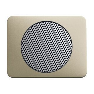 Busch-Jaeger Zentralscheibe Busch-Jaeger - Busch-Jaeger Zentralscheibe