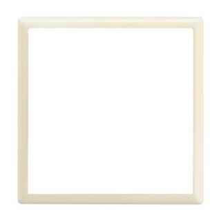 Busch-Jaeger Zentralscheibe Busch-Jaeger - Busch-Jaeger Zentralscheibe