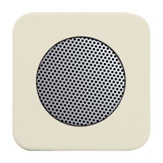 Busch-Jaeger Zentralscheibe Busch-Jaeger - Busch-Jaeger Zentralscheibe