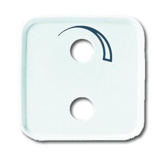 Busch-Jaeger Zentralscheibe Busch-Jaeger - Busch-Jaeger Zentralscheibe