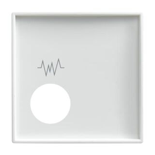 Busch-Jaeger Zentralscheibe Busch-Jaeger - Busch-Jaeger Zentralscheibe