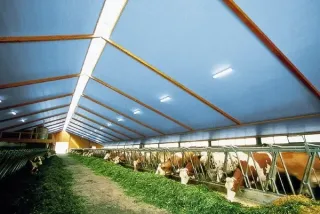 Dämmung landwirtschaftlicher Betriebsgebäude Dämmung landwirtschaftlicher Betriebsgebäude