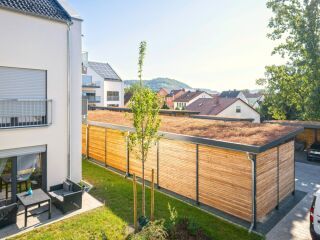 Förderung für Ihr Gründach gefunden – aber nicht bewilligt?