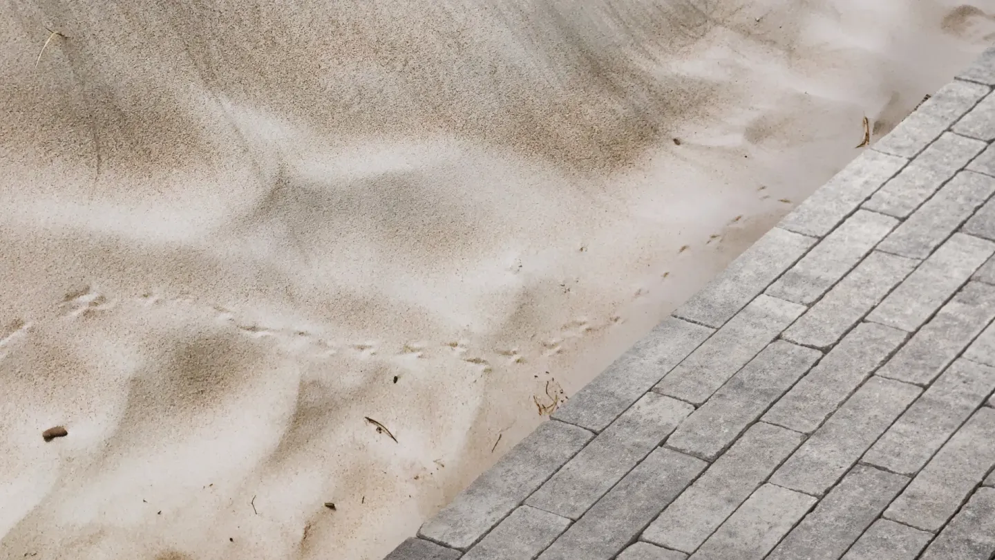 Exklusive und funktionale Betonsteintrends Exklusive und funktionale Betonsteintrends