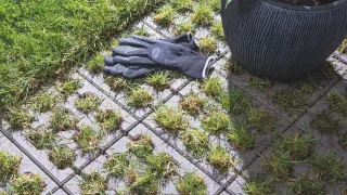 Emissionsfreie und ökologische Betonsteintrends Emissionsfreie und ökologische Betonsteintrends
