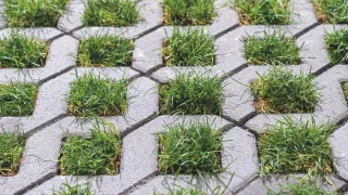 Emissionsfreie und ökologische Betonsteintrends Emissionsfreie und ökologische Betonsteintrends