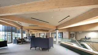 Deckenlösungen aus Holzwolle Deckenlösungen aus Holzwolle