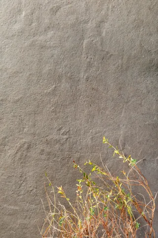 Terratec - Wand- und Bodenfliesen in Betonoptik Terratec - Wand- und Bodenfliesen in Betonoptik