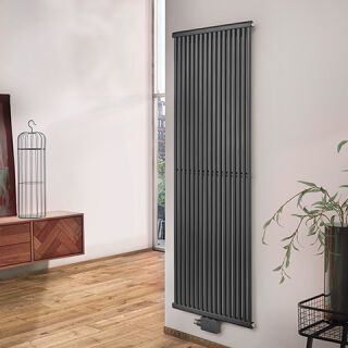 BEMM Einsäuler-RR RE1