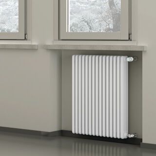 BEMM Röhrenradiator Mera RM4