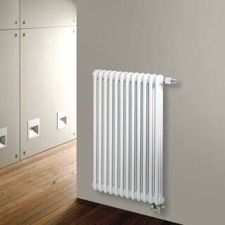 BEMM Ventil-Röhrenradiator Vera RV2