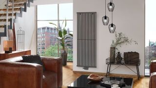 BEMM Einsäuler-RR RE1