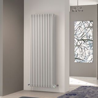 BEMM Röhrenradiator Mera RM5