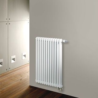 BEMM Ventil-Röhrenradiator Vera RV2