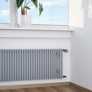 BEMM Kreuzrohrradiator Krera KR1