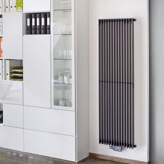 BEMM Exzellentradiator Exra E61