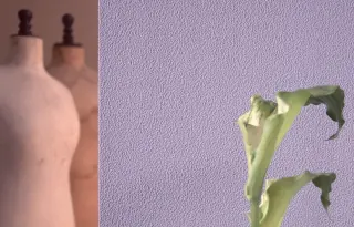 Struktur- und Vliestapeten - diffusionsoffen und feuchtigkeitsregulierend Struktur- und Vliestapeten - diffusionsoffen und feuchtigkeitsregulierend