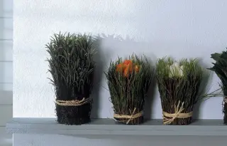 Struktur- und Vliestapeten - diffusionsoffen und feuchtigkeitsregulierend Struktur- und Vliestapeten - diffusionsoffen und feuchtigkeitsregulierend