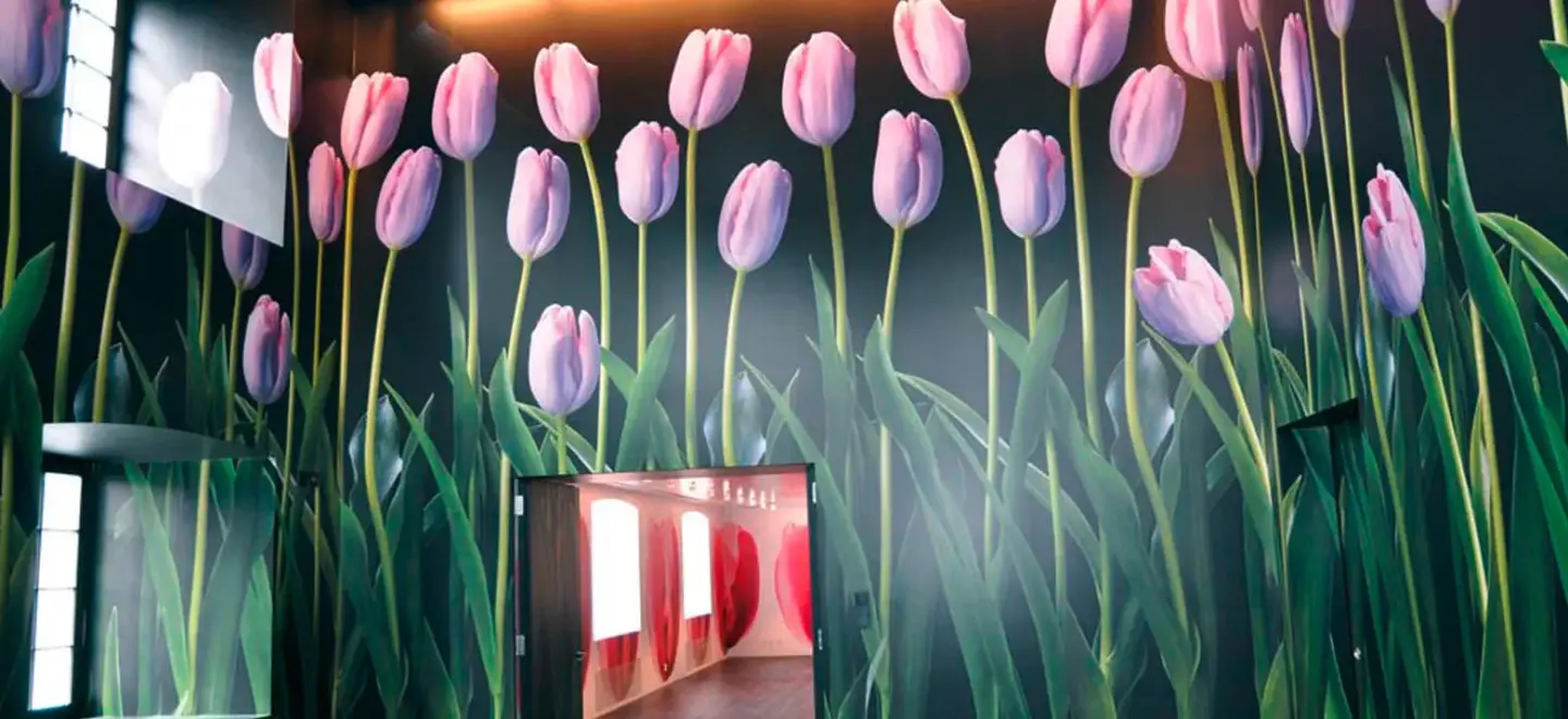 Digitale Fototapeten - JuicyWalls Digitale Fototapeten - JuicyWalls