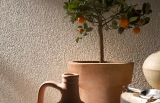 Struktur- und Vliestapeten - diffusionsoffen und feuchtigkeitsregulierend Struktur- und Vliestapeten - diffusionsoffen und feuchtigkeitsregulierend