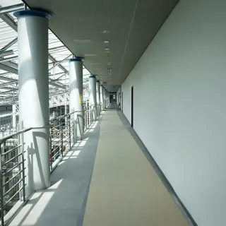 ERFURT-GIGA-Rolle®- Nahtlos horizontal ganze Wände tapezieren ERFURT-GIGA-Rolle®- Nahtlos horizontal ganze Wände tapezieren