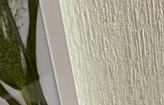 Struktur- und Vliestapeten - diffusionsoffen und feuchtigkeitsregulierend Struktur- und Vliestapeten - diffusionsoffen und feuchtigkeitsregulierend