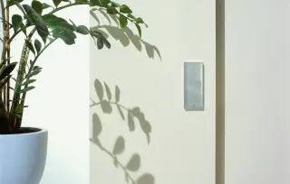 Struktur- und Vliestapeten - diffusionsoffen und feuchtigkeitsregulierend Struktur- und Vliestapeten - diffusionsoffen und feuchtigkeitsregulierend