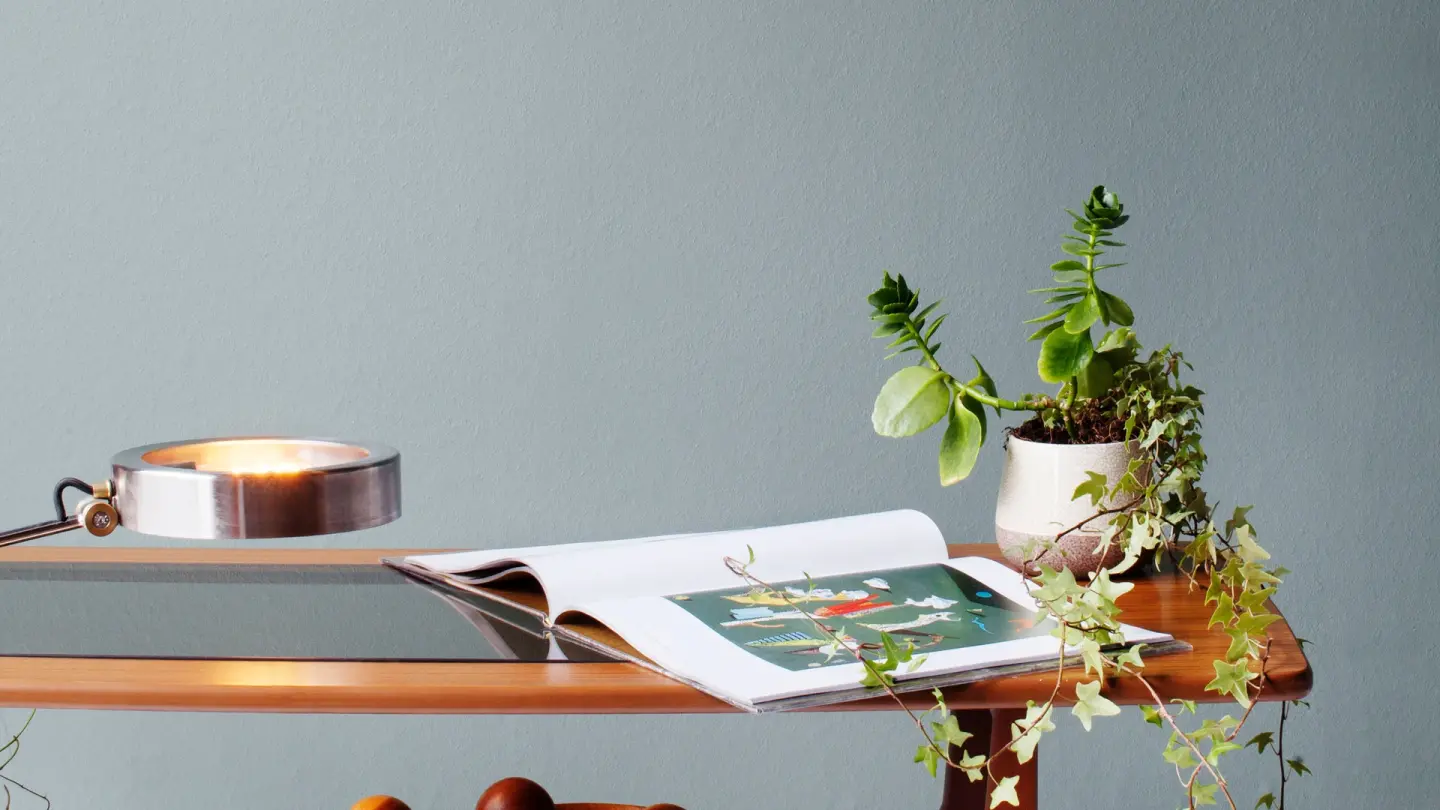 Rauhfaser und Vlies-Rauhfaser-Tapeten als Wandbekleidungen mit Struktur Rauhfaser und Vlies-Rauhfaser-Tapeten als Wandbekleidungen mit Struktur