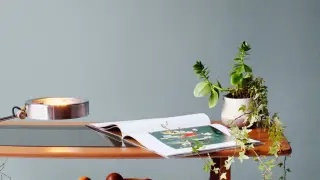 Rauhfaser und Vlies-Rauhfaser-Tapeten als Wandbekleidungen mit Struktur Rauhfaser und Vlies-Rauhfaser-Tapeten als Wandbekleidungen mit Struktur