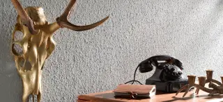 Rauhfaser und Vlies-Rauhfaser-Tapeten als Wandbekleidungen mit Struktur Rauhfaser und Vlies-Rauhfaser-Tapeten als Wandbekleidungen mit Struktur