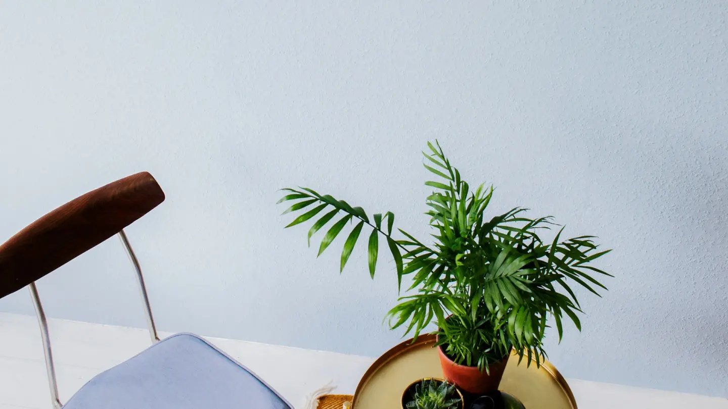 Rauhfaser und Vlies-Rauhfaser-Tapeten als Wandbekleidungen mit Struktur Rauhfaser und Vlies-Rauhfaser-Tapeten als Wandbekleidungen mit Struktur