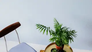 Rauhfaser und Vlies-Rauhfaser-Tapeten als Wandbekleidungen mit Struktur Rauhfaser und Vlies-Rauhfaser-Tapeten als Wandbekleidungen mit Struktur