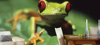 Digitale Fototapeten - JuicyWalls Digitale Fototapeten - JuicyWalls