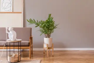 Struktur- und Vliestapeten - diffusionsoffen und feuchtigkeitsregulierend Struktur- und Vliestapeten - diffusionsoffen und feuchtigkeitsregulierend