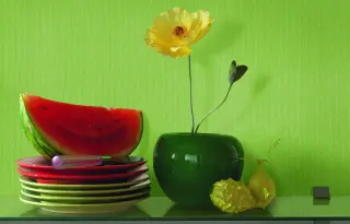 Struktur- und Vliestapeten - diffusionsoffen und feuchtigkeitsregulierend Struktur- und Vliestapeten - diffusionsoffen und feuchtigkeitsregulierend