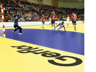 Sportbodenbeläge TARAFLEX®  und DLW Linodur für Sport- und Mehrzweckhallen Sportbodenbeläge TARAFLEX®  und DLW Linodur für Sport- und Mehrzweckhallen