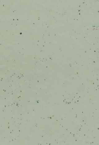 DLW LINO ART MOON 2.5 MM - Bahnen