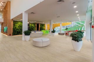 TARALAY IMPRESSION COMPACT - Bahnen Gerflor - TARALAY IMPRESSION COMPACT - Bahnen