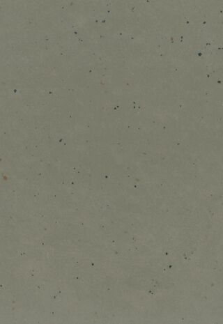 DLW LINO ART MOON 2.5 MM - Bahnen Gerflor - DLW LINO ART MOON 2.5 MM - Bahnen