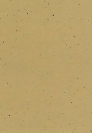 DLW LINO ART MOON 2.5 MM - Bahnen Gerflor - DLW LINO ART MOON 2.5 MM - Bahnen