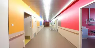 Handläufe, Wandschutzbeläge, Türschutzbeläge und Kantenschutzprofile Handläufe, Wandschutzbeläge, Türschutzbeläge und Kantenschutzprofile