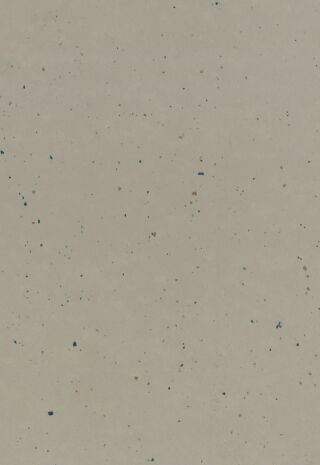 DLW LINO ART MOON 2.5 MM - Bahnen Gerflor - DLW LINO ART MOON 2.5 MM - Bahnen