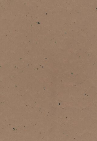 DLW LINO ART MOON 2.5 MM - Bahnen Gerflor - DLW LINO ART MOON 2.5 MM - Bahnen