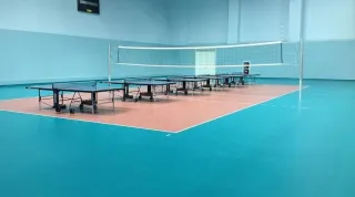 Sportbodenbeläge TARAFLEX®  und DLW Linodur für Sport- und Mehrzweckhallen Sportbodenbeläge TARAFLEX®  und DLW Linodur für Sport- und Mehrzweckhallen