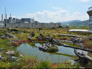 Nutzdächer als Beitrag zum Klimaschutz: Flächen effizient nutzen