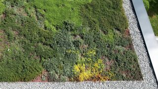 Gründach- und Flachdachzubehör MONSUN GREEN