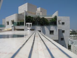 Tauben können zur Plage werden – präventiver Schutz ist möglich.