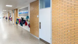 Fingerschutztüren mit integriertem Klemmschutz Fingerschutztüren mit integriertem Klemmschutz