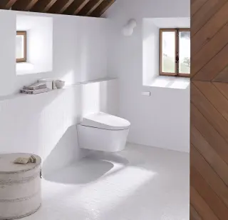 WC-Steuerungen: berührungslose Spülsysteme und Fernbetätigungen WC-Steuerungen: berührungslose Spülsysteme und Fernbetätigungen